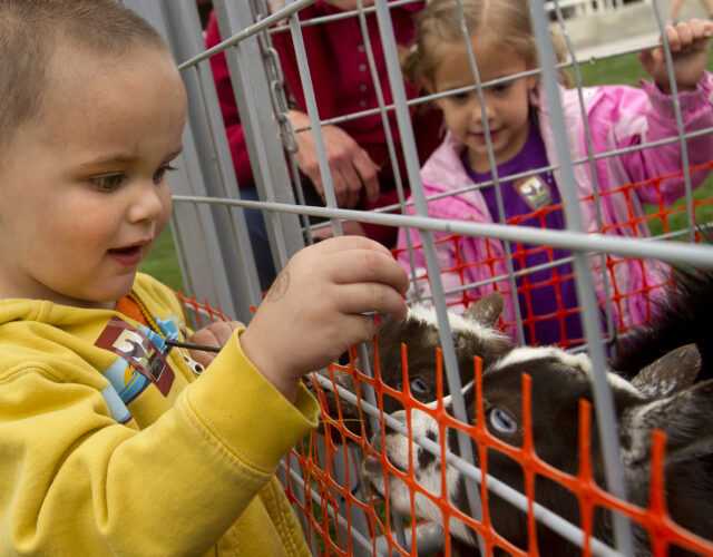 Utah Valley Living: Places to go, things to do (May 9-17) | News ...